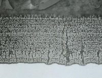Zinc-Nickel-LHE-Micrograph